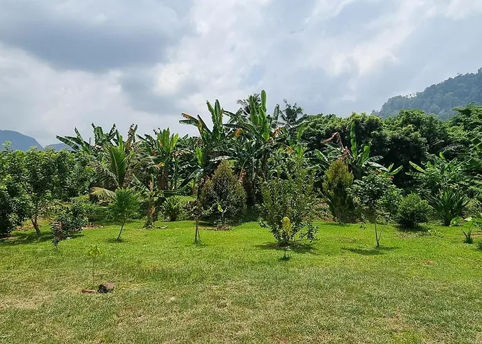 Tambun Hillview Cottage 1